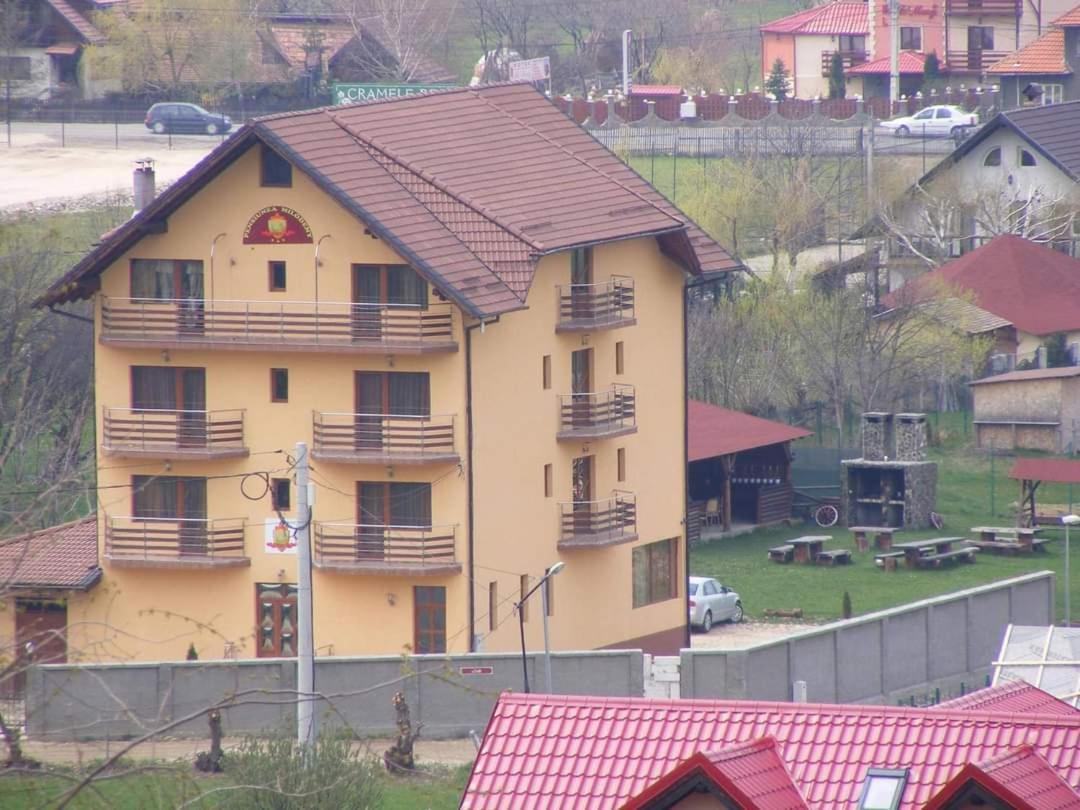 Pensiunea Riffelt Bran  Exteriér fotografie
